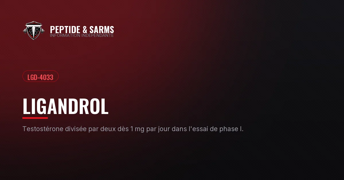 Bannière du guide sur le ligandrol LGD-4033 et la suppression de la testostérone